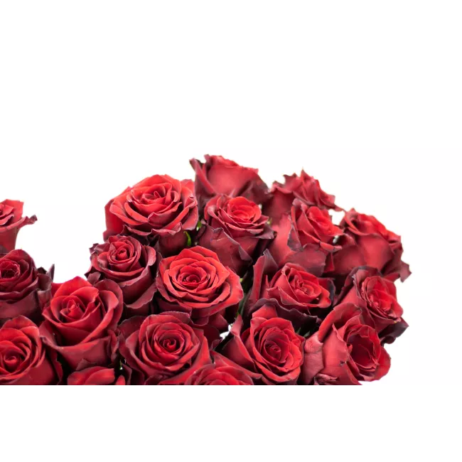 Bouquet of Ecuadorian roses